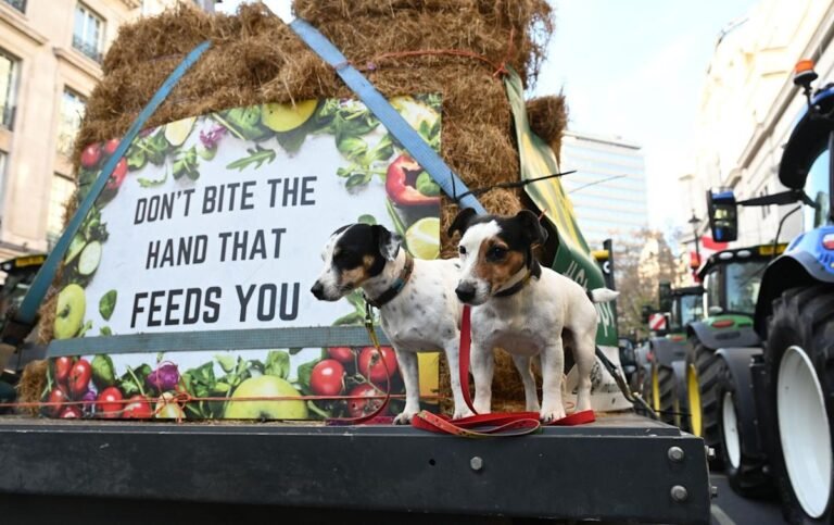 inheritance tax reform for farming businesses