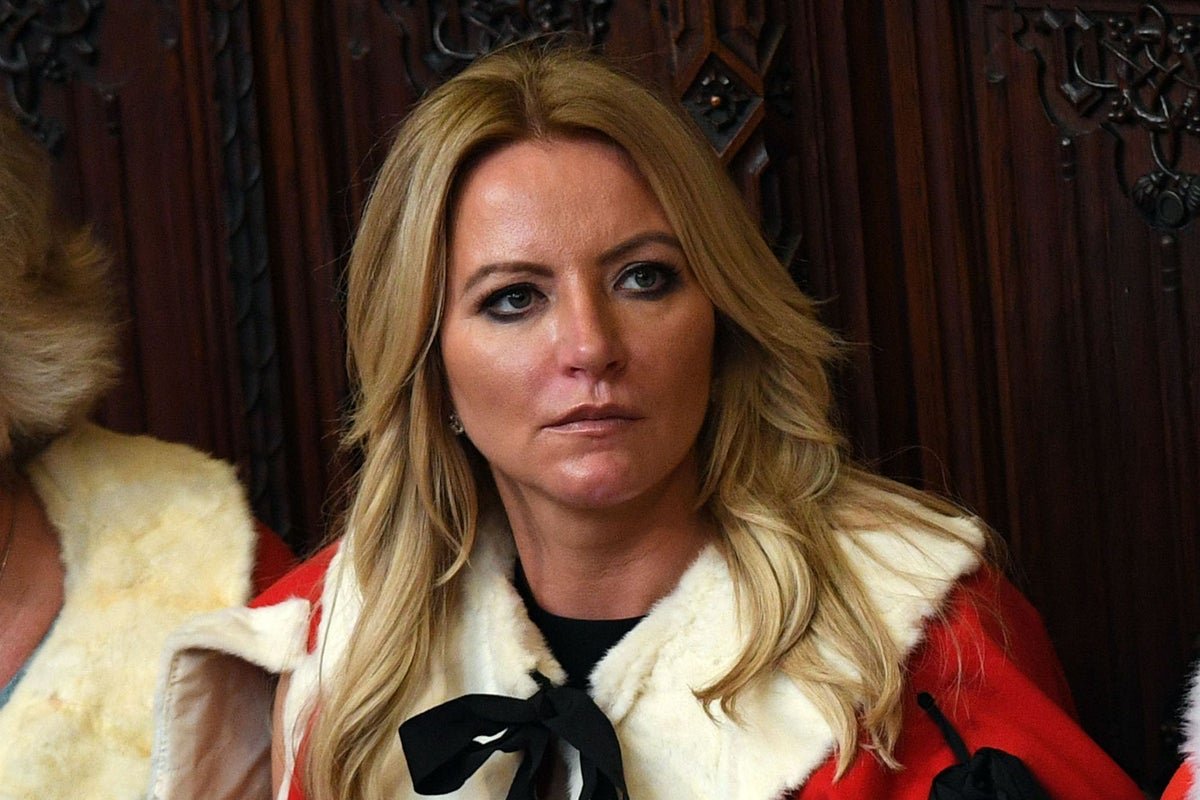 michelle mone ppe medpro wound up