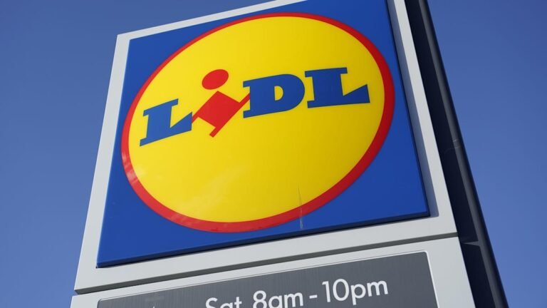 Lidl supermarket chain record Christmas sales