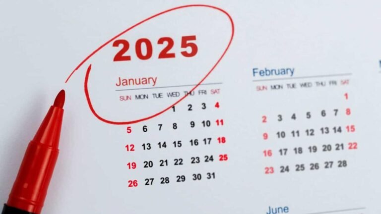 Alphabet shares surge in value over six months