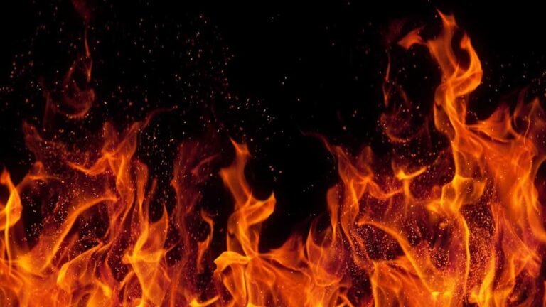 growth stocks to buy in 2026